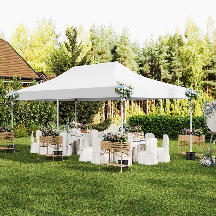 Pop-Up Canopy Gazebo Tent with 6 Removable Sidewalls & Carry Bag