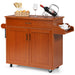 Rolling Kitchen Storage Trolley with Adjustable Shelf and Drawer