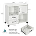 Home Office Mobile File Cabinet with 2 Drawers 2 Open Shelves and Door