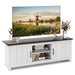 TV Stand with 2 Doors and Storage Shelves for Tvs up to 65 Inches