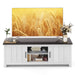 TV Stand with 2 Doors and Storage Shelves for Tvs up to 65 Inches