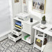 Home Office Mobile File Cabinet with 2 Drawers 2 Open Shelves and Door
