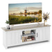 TV Stand with 2 Doors and Storage Shelves for Tvs up to 65 Inches