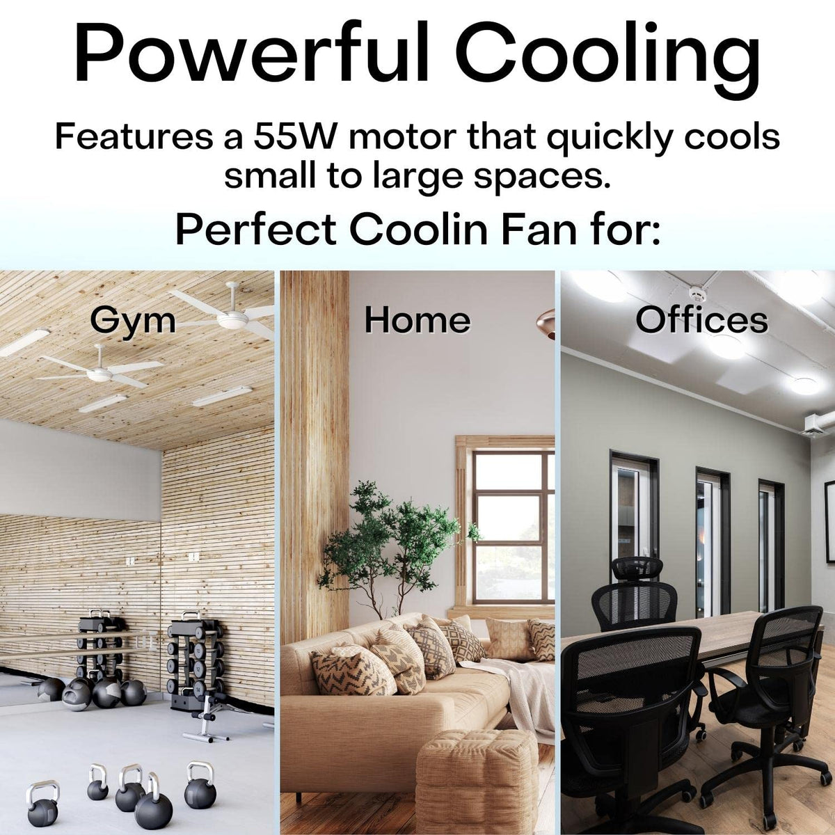 SEDOL 12" Chrome Floor Fan with 3 Speed Settings and Tilting Head Feature