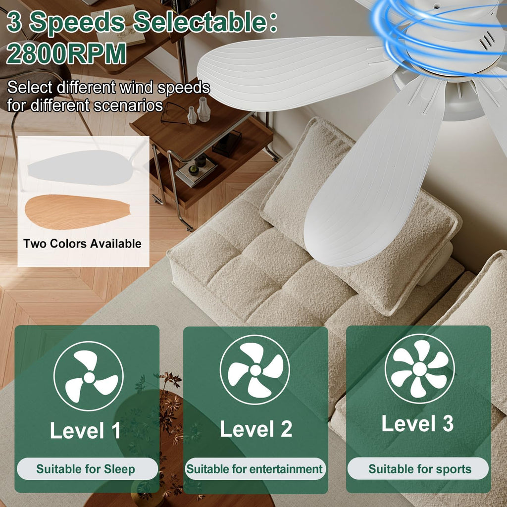 SEDOL E27 Screw-In Ceiling Fan with Light and Remote Control 30W Dimmable LED Small Flush Mount Fan 3-Speed Silent 20dB Air Circulator for Bedroom Bathroom and Kitchen