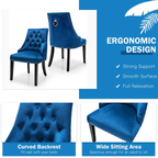 Modern Button-Tufted Velvet Studded Dining Chair with Nail Head Trim