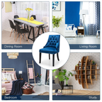 Modern Button-Tufted Velvet Studded Dining Chair with Nail Head Trim