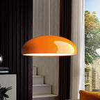 Concave Pendant Light