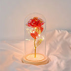 SEDOL Forever Rose in Glass Dome Enchanted Flower Gift with LED Lights for Romantic Valentines Day Mother’s Birthday Decorations for Her Anniversary Present