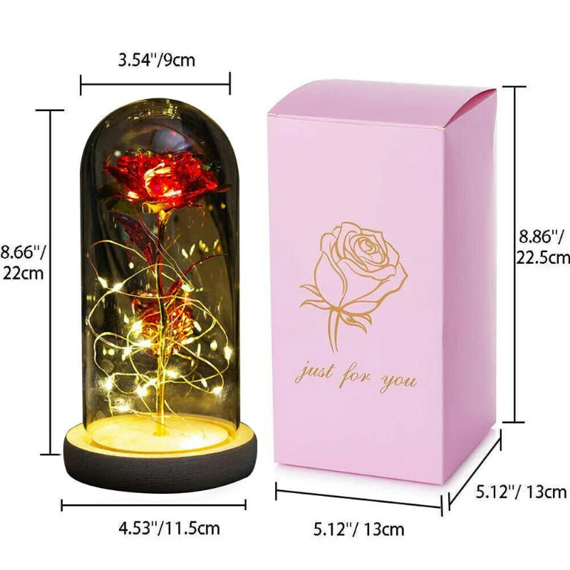SEDOL Forever Rose in Glass Dome Enchanted Flower Gift with LED Lights for Romantic Valentines Day Mother’s Birthday Decorations for Her Anniversary Present