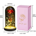SEDOL Forever Rose in Glass Dome Enchanted Flower Gift with LED Lights for Romantic Valentines Day Mother’s Birthday Decorations for Her Anniversary Present