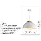 Nordic Dome LED Pendant Lamp