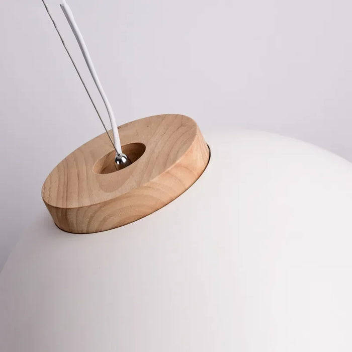 Nordic Dome LED Pendant Lamp