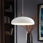 Concave Pendant Light