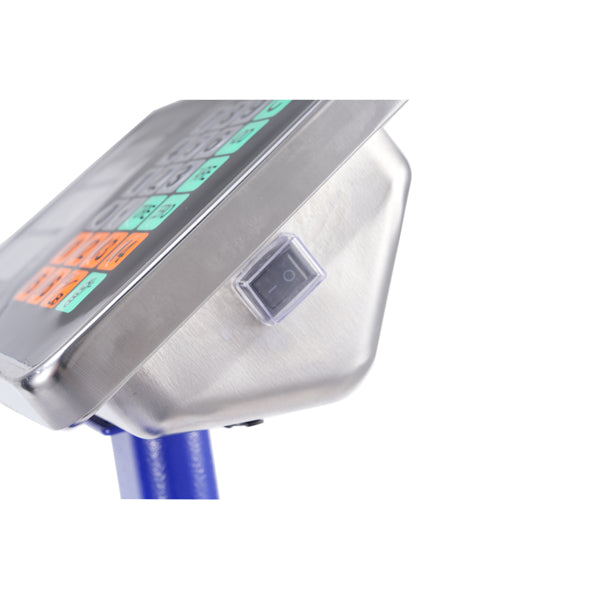 300kg Digital Platform Scale – Heavy-Duty Floor & Postal Weighing Scale with LCD Display