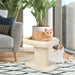 2-Tier Cat Tree with Sleeping Perch Sisal Scratching Plate and Ball